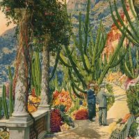 All�es et massifs du Jardin Exotique de Monaco. ca 1930-1960. Cartes postales photochromes Edition d�art Rostan et Munier, Les belles �ditions fran�aises, Editions SEPT, Edition du Jardin Exotique, Real-Photo, Editions Rella Fonds patrimonial, M�diath�que